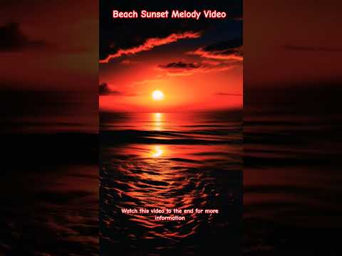 Beach Sunset 1 single AND video clip