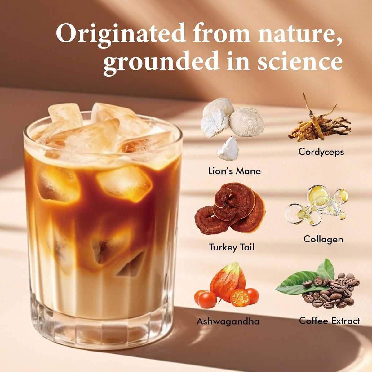 Earth Superfood Brew Coffee, Erth Mushroom Coffee, 8.07oz (228.75g)