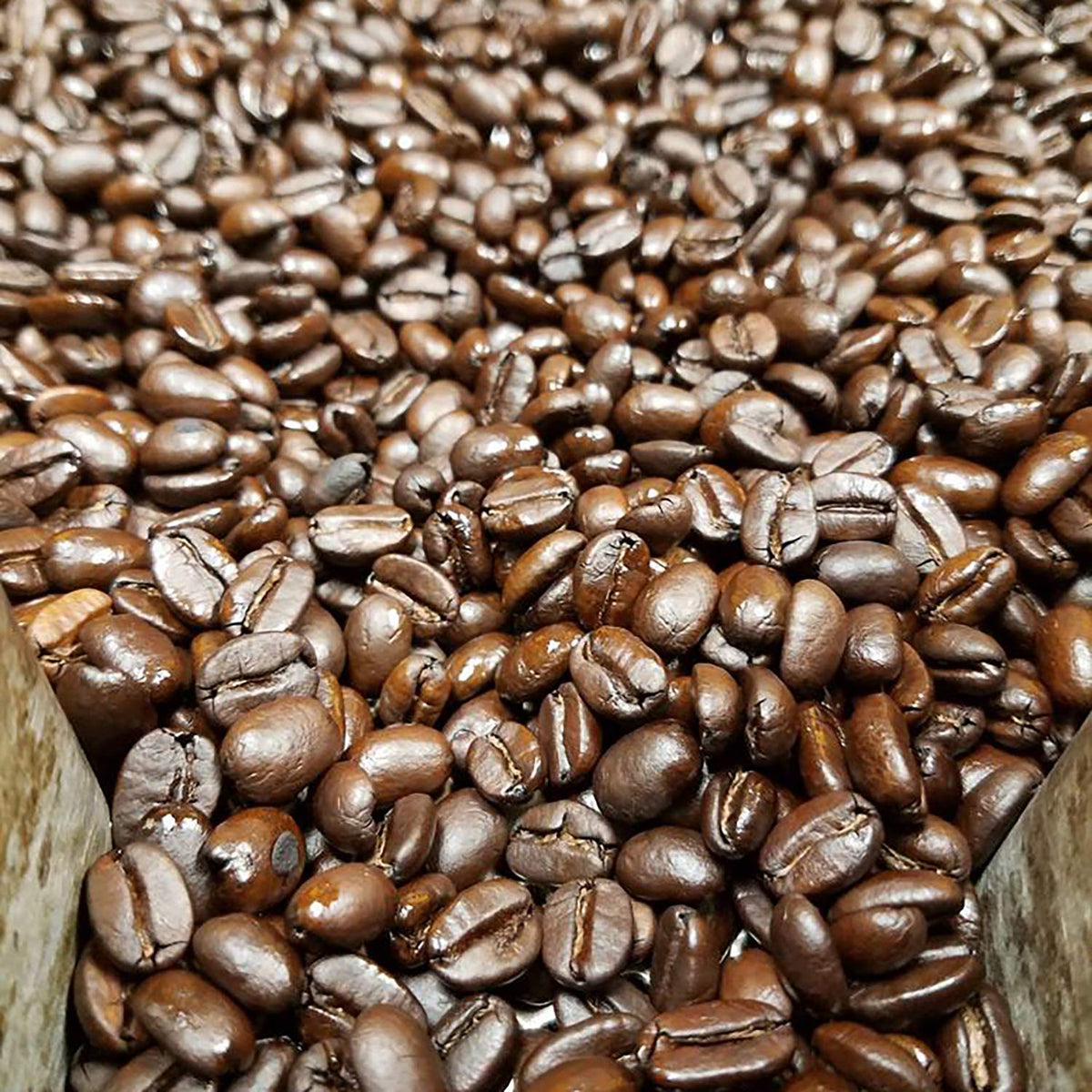 Cameron's Coffee Roasted Whole Bean Coffee, Intense French, 28 Ounce
